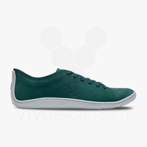 Vivobarefoot Addis Lifestyle Skor Herr Gröna | SE128OB
