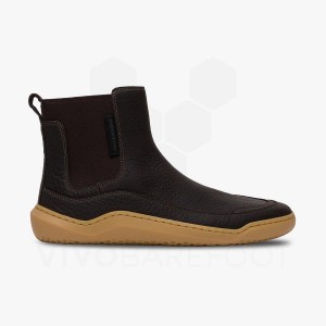 Vivobarefoot Gobi Chelsea Lifestyle Skor Dam Svarta | SE287LQ