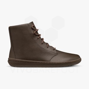 Vivobarefoot Gobi HI IV Lifestyle Skor Dam Kaffe | SE322CP