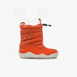 Vivobarefoot Lumi FG Toddler Skor Barn Rosa | SE404YF