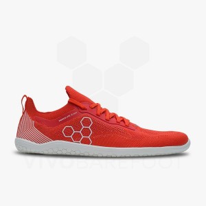 Vivobarefoot Primus Lite Knit Träningsskor Dam Röda | SE258OB