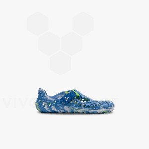 Vivobarefoot Ultra Bloom Preschool Skor Barn Blå Ljusturkos | SE390MM